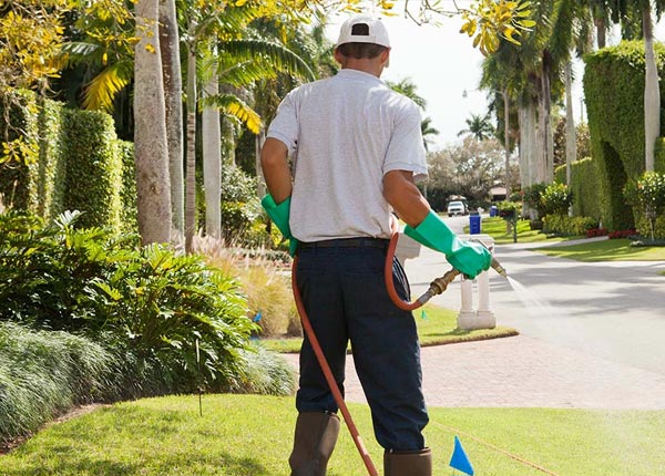 About Center Junction IA Pest Control
